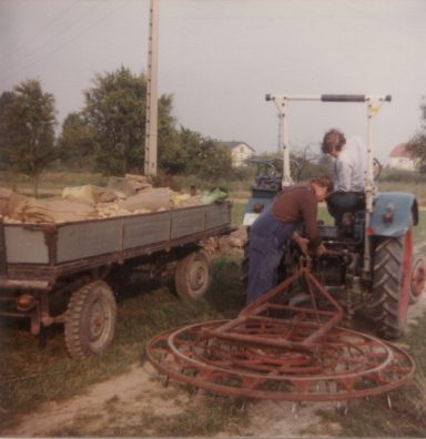Kartoffelernte in Lauterburg, 1979