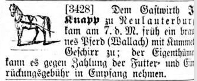 1867
In der Pfälzer Zeitung vom 10.8.1867 wird ein zugelaufenes Pferd mit Kummet zur Abholung inseriert