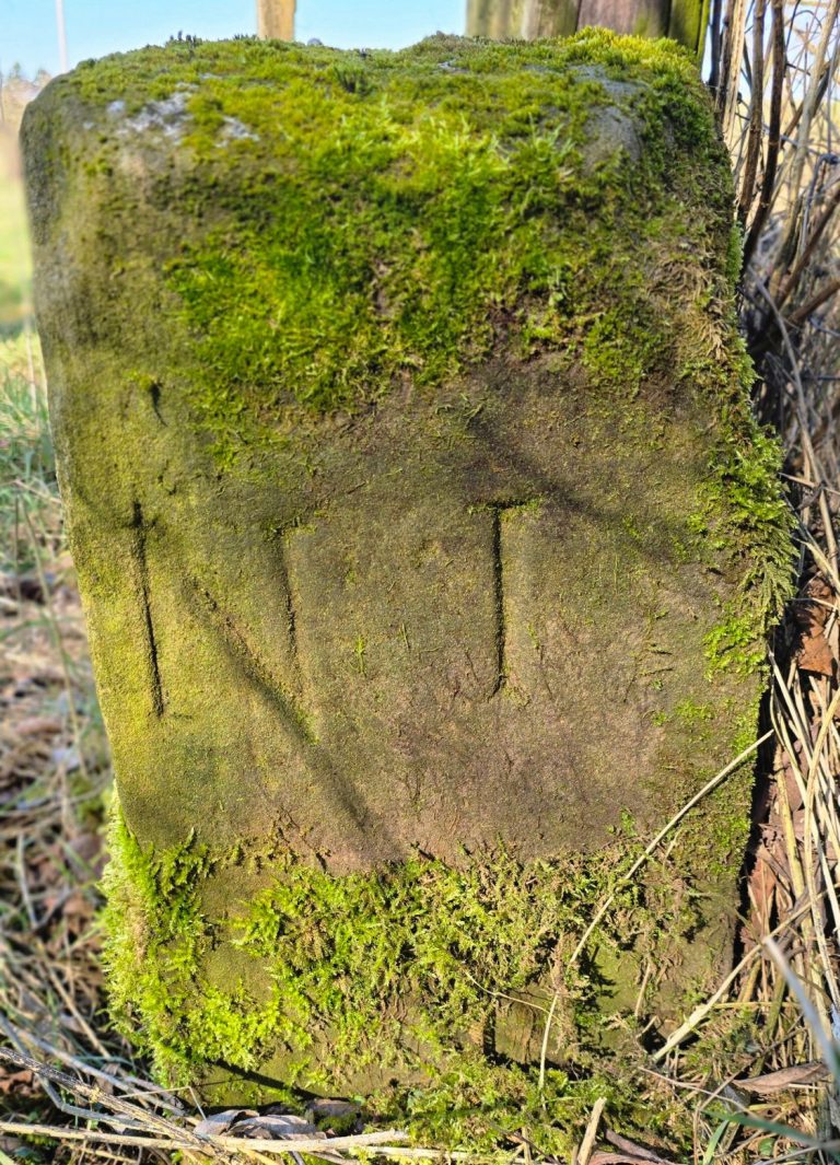 Grenzstein Nr. 1 an der Lauter zwischen Neulauterburg und Scheibenhardt.