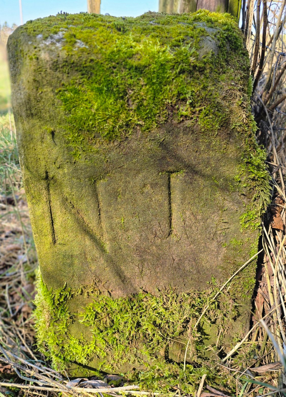 Grenzstein Nr. 1 an der Lauter zwischen Neulauterburg und Scheibenhardt.